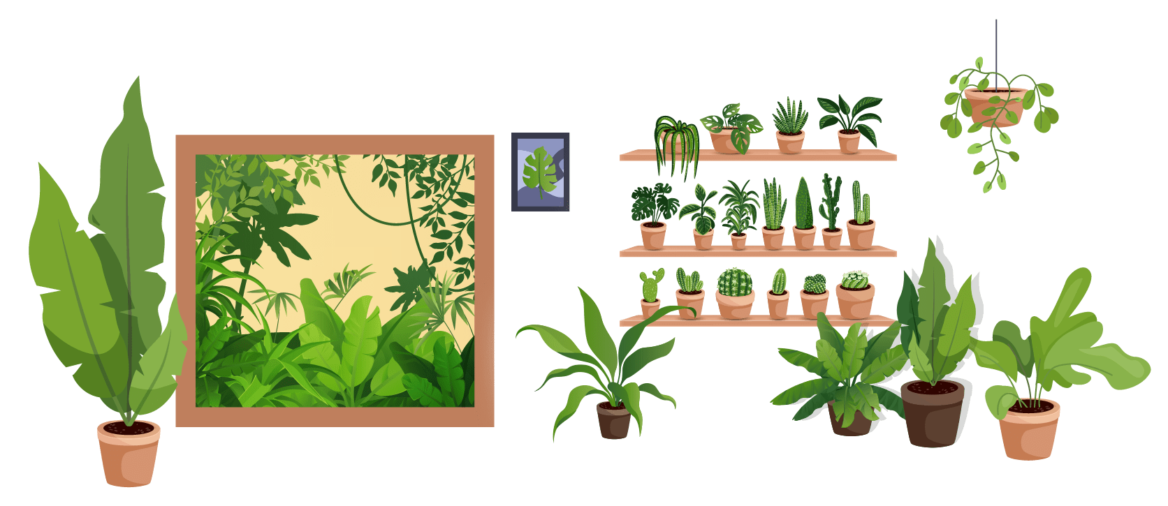 wennie-plants